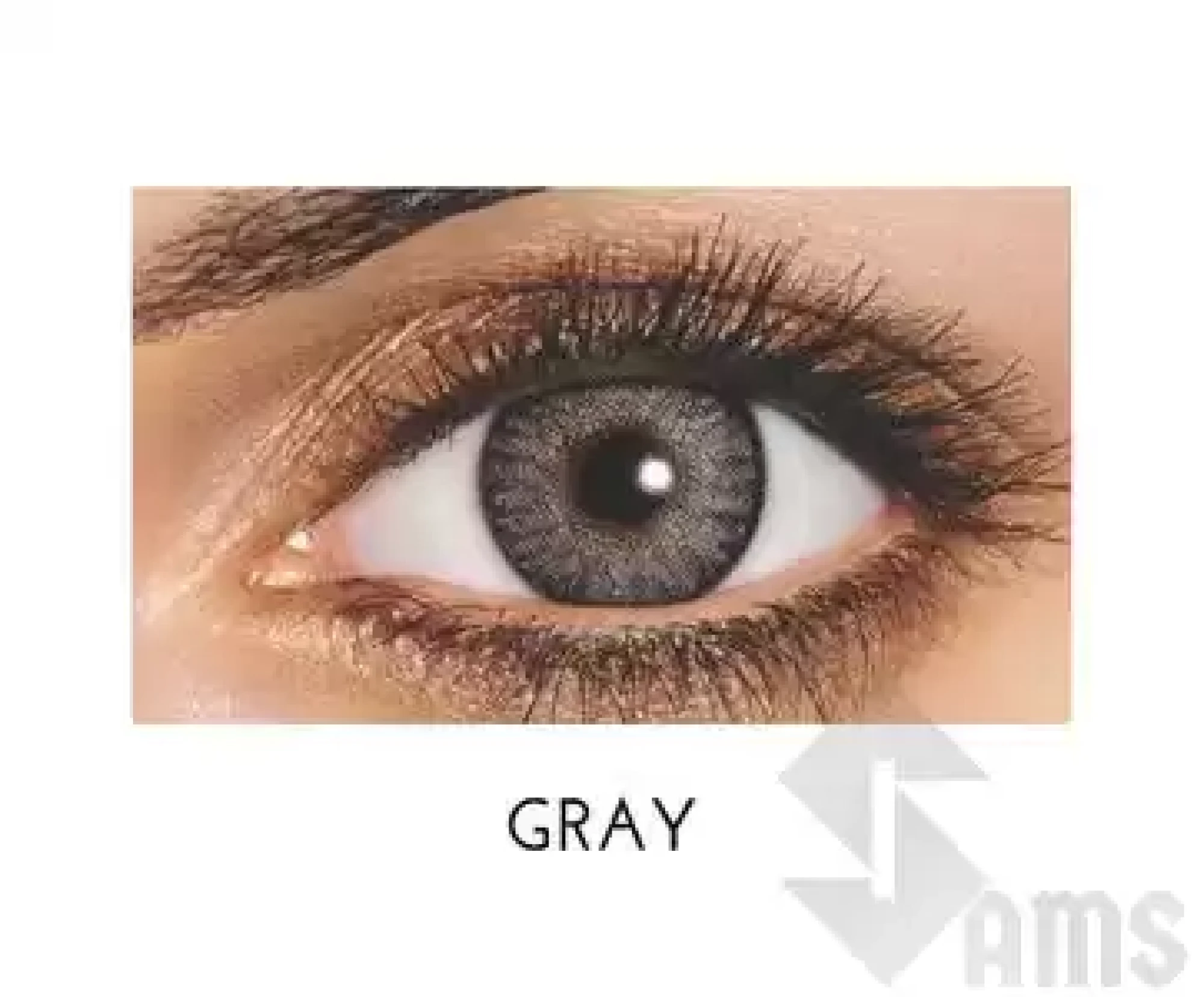 Freshlook contact lens gray1.webp